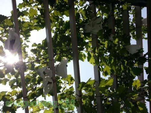 QQͼƬ20140616133043.jpg