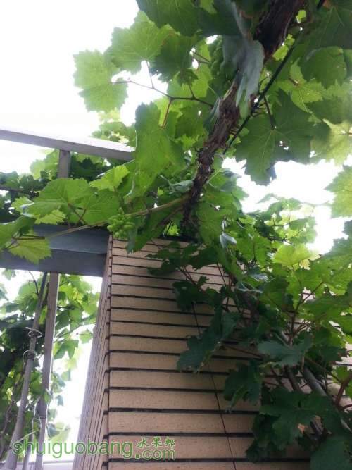 QQͼƬ20140616131311.jpg