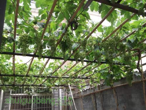 2014.06.16.޺ 051.jpg