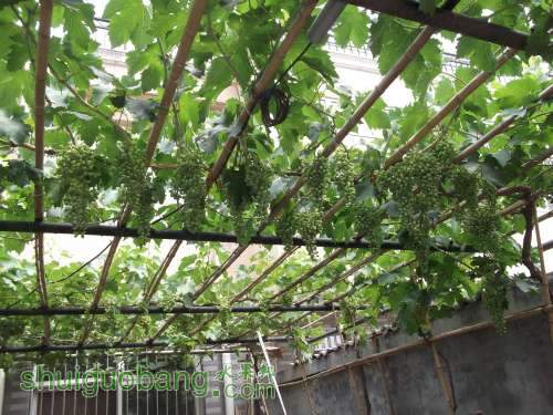 2014.06.16.޺ 061.jpg