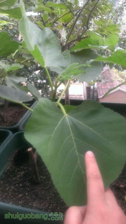 QQͼƬ20140616162244.jpg