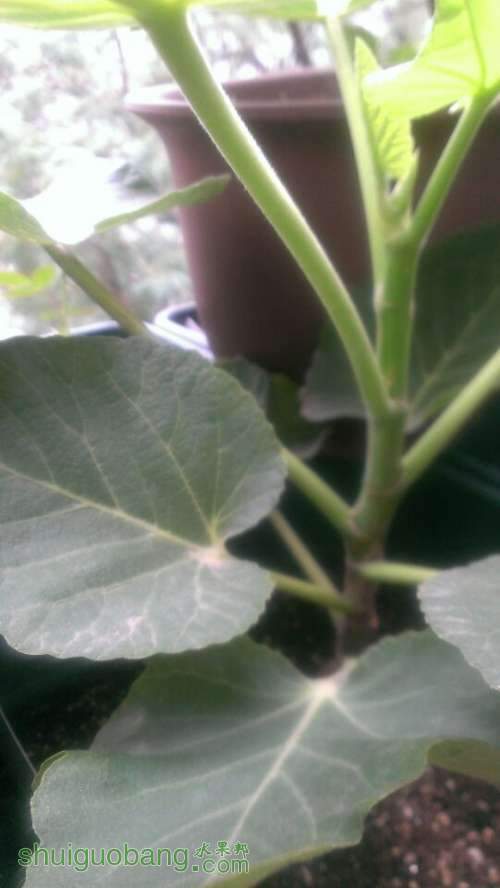 QQͼƬ20140616162255.jpg