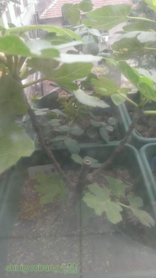 QQͼƬ20140616162328.jpg