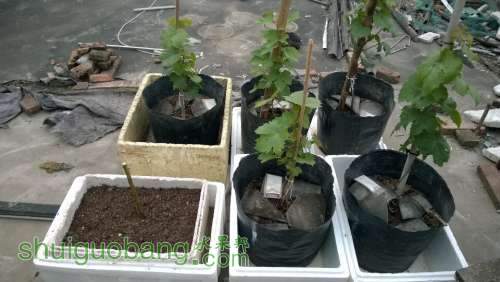QQͼƬ20140616190149.jpg