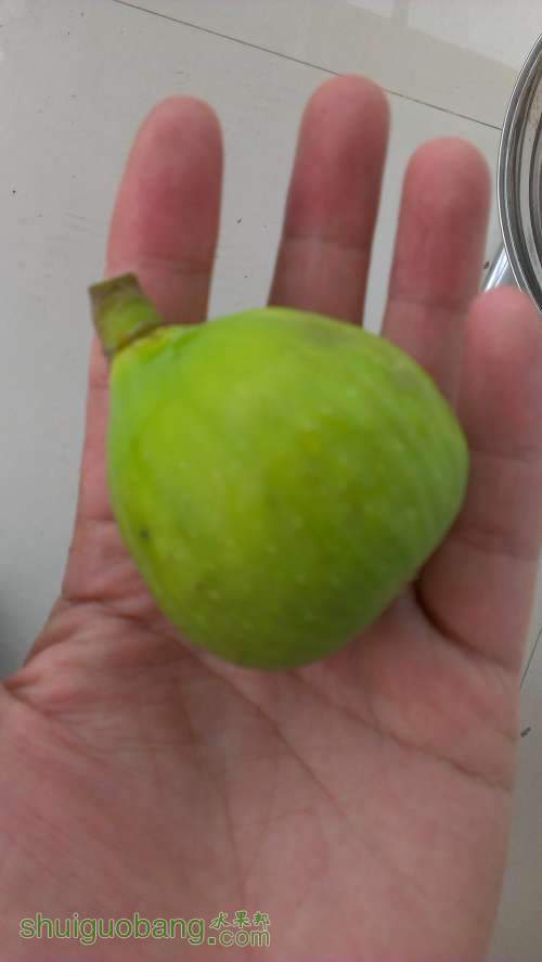 IMAG0770.jpg