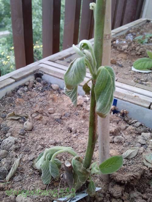 2014-06-15_11-05-09_124.jpg