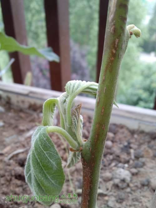 2014-06-15_11-06-15_334.jpg