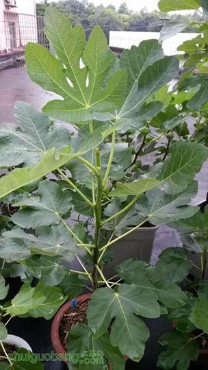 20140617_065228.jpg