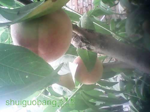 IMG_20140617_112825.jpg
