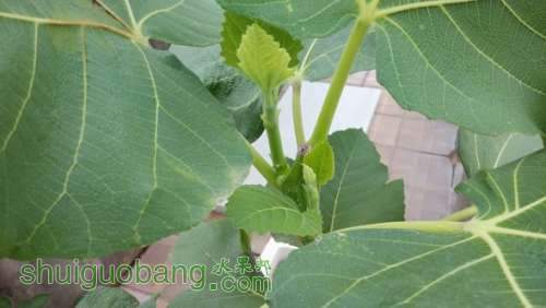IMG_20140617_114240.jpg
