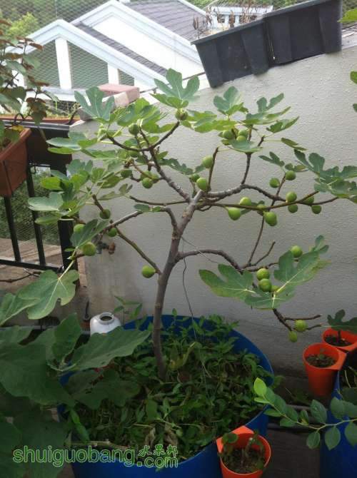 2014-06-18 062131.jpg