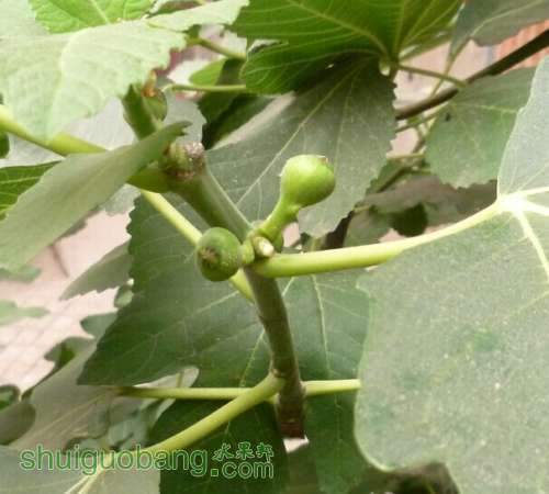 QQͼƬ20140618131357.jpg