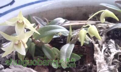 QQͼƬ20140612113101 .jpg