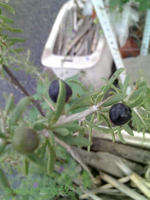 0618_091937.jpg