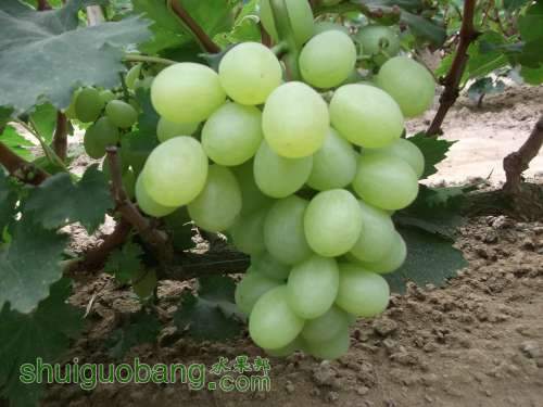 2014.06.19..ά 026.jpg