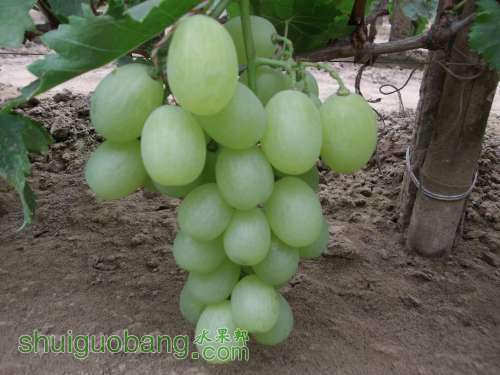 2014.06.19..ά 027.jpg