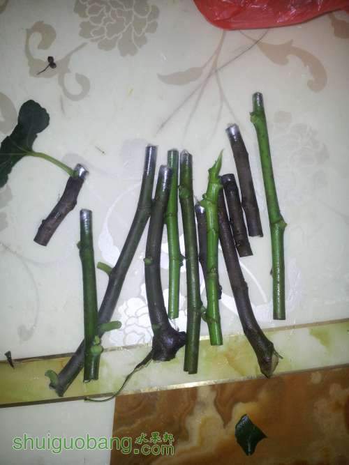 20140619_213207.jpg