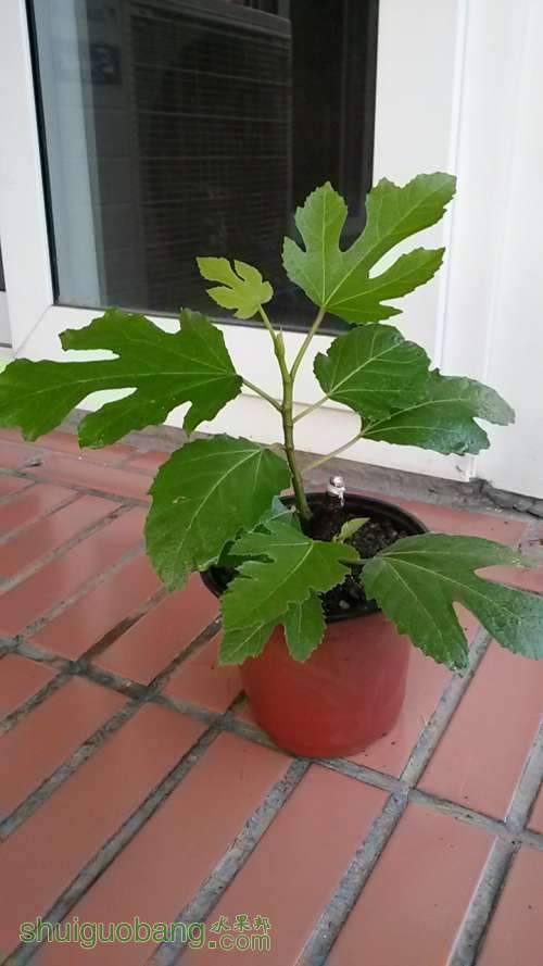 20140420_175153.jpg