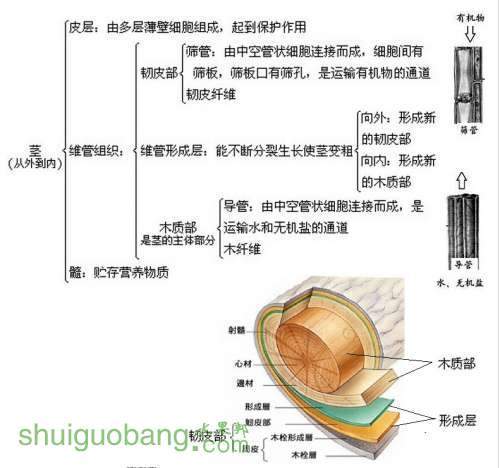 QQͼƬ20140620153211.jpg