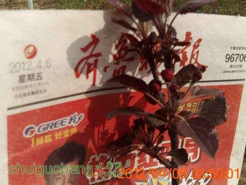 PICT0371.JPG