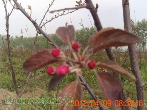 PICT0356.JPG