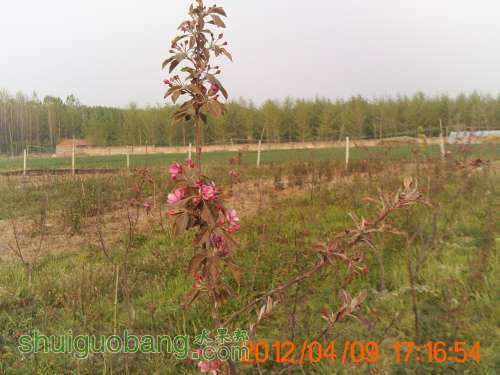 PICT0405.JPG
