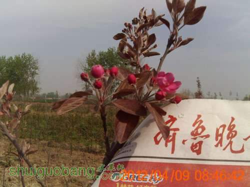 PICT0367.JPG