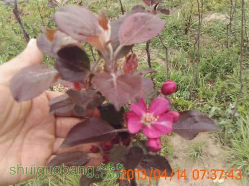 PICT0441.JPG