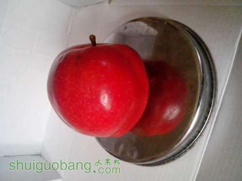 IMG_20131003_125508.jpg