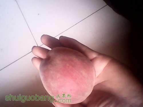 IMG_20140620_130842.jpg