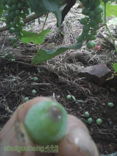 20140617_072756.jpg