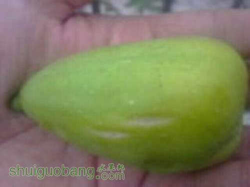 ˹�����ֻ�1.jpg