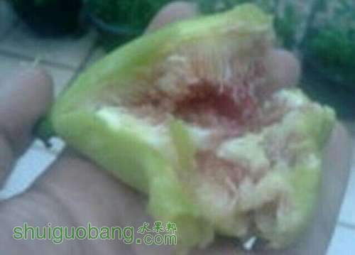 ˹�����ֻ�2.jpg