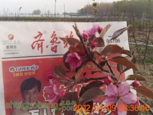 PICT0354.JPG