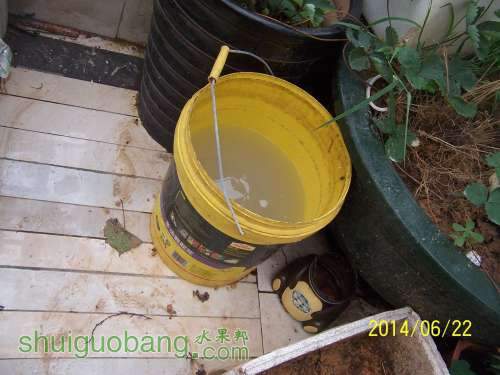 100_8830.JPG