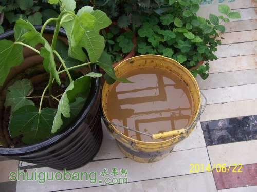 100_8831.JPG