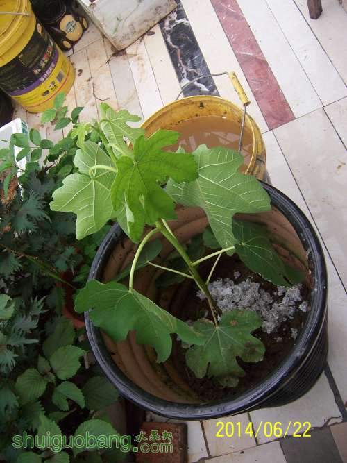 100_8832.JPG
