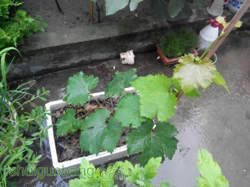 QQͼƬ20140622201939.jpg