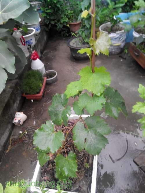 QQͼƬ20140622201930.jpg