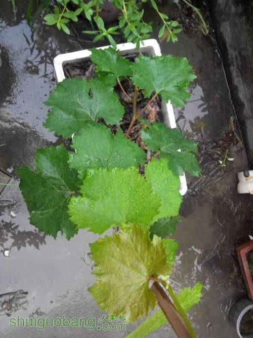 QQͼƬ20140622201944.jpg