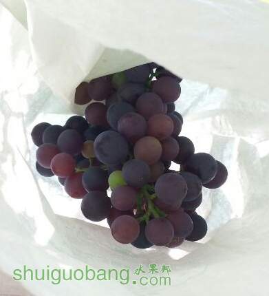 QQͼƬ20140623151108.jpg