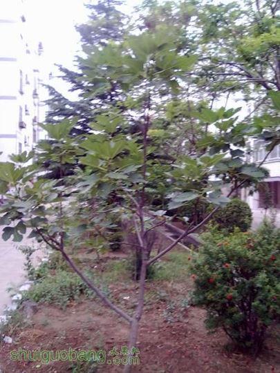 20140620397.jpg