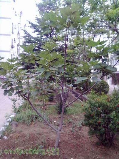 20140620398.jpg