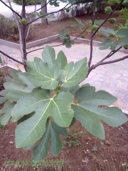20140620400.jpg