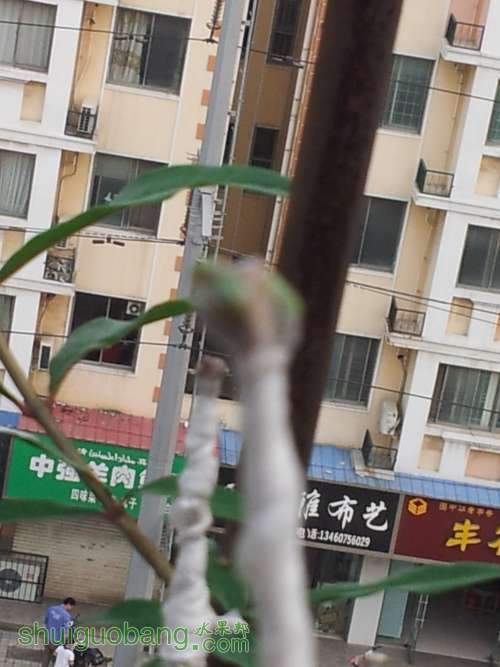 ޽Ӷ.jpg