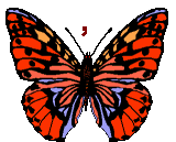 12.gif