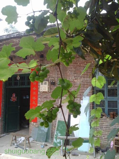 20140614_122504.jpg