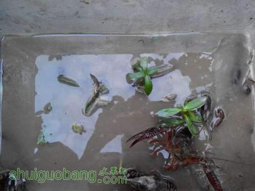 QQͼƬ20140624202000.jpg