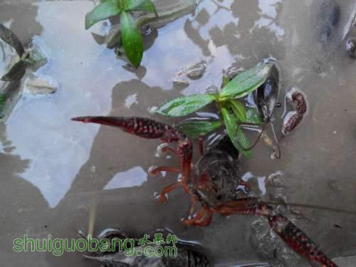 QQͼƬ20140624202009.jpg