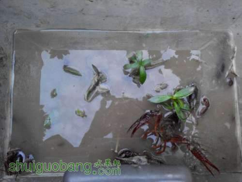 QQͼƬ20140624202013.jpg